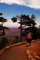 Give me the grace...to step forward in faith