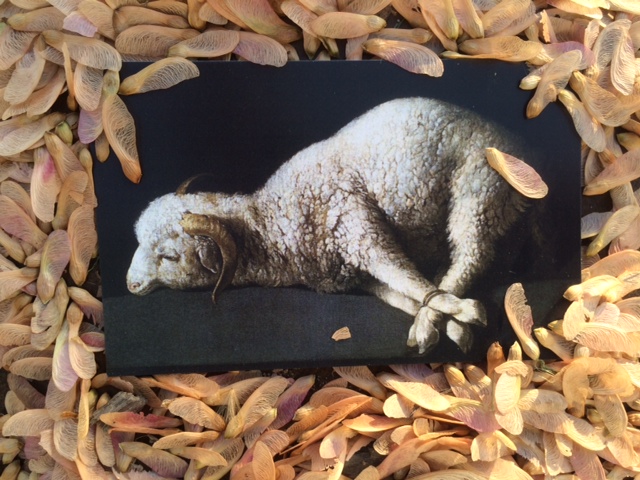 Worthy is the Lamb, triumphing now as the Lion of Judah!