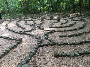 At Cedars of Peace: An invitation to find Joy in the journey...