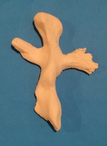 Empty and beautiful...pointing to our salvation.