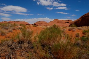 Into the desert, we go...