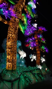 Looking deep...in order to find the beauty.