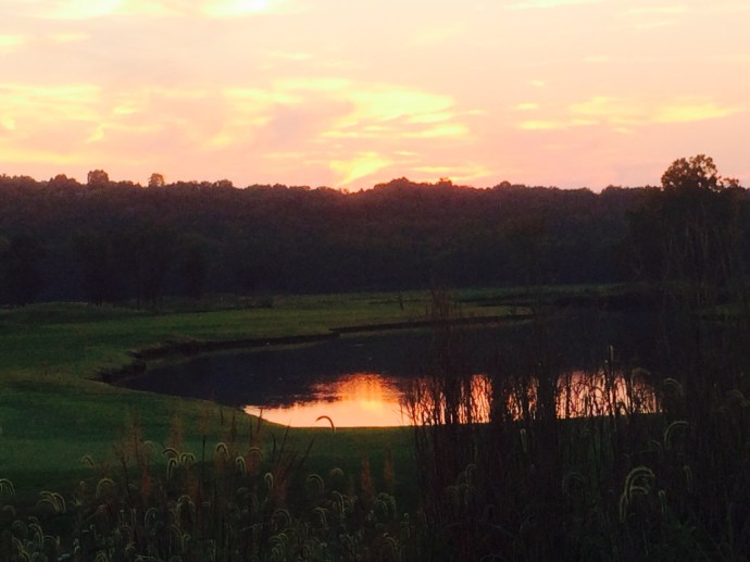 A beacon...for a restless heart...