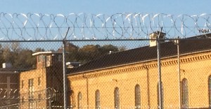 That ain't tinsel atop the fence...but still, there's Christmas joy inside.