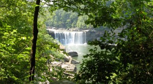 Grow like branches on the living tree... Washed in water, reborn and free... 