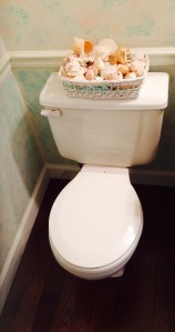 You can almost hear the leaky toilet taunting me...