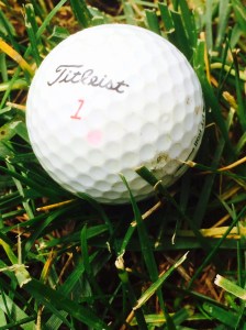 Bruised, but not bowed...