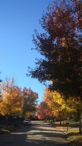 Beauty, breaking through...