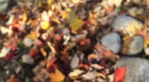 Where's the beauty in this?