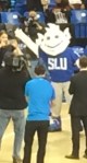 The new 'new Billiken'
